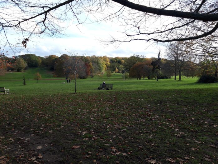 Beckenham Place Park in autumn