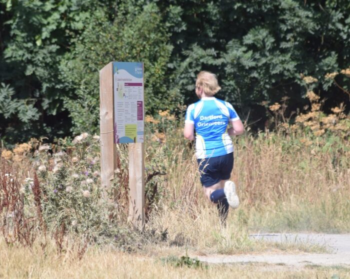 Run to the shade